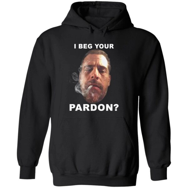 I Beg Your Pardon Hoodie