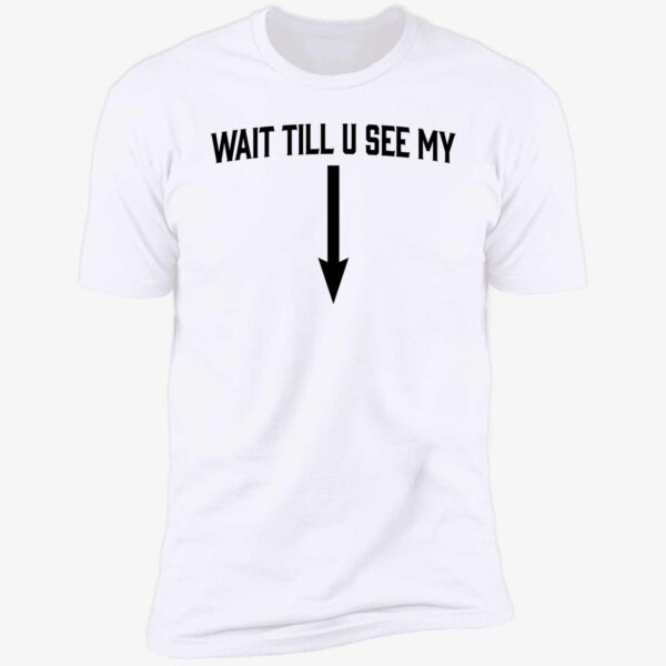 Drake Wait Till U See Me Premium Shirt