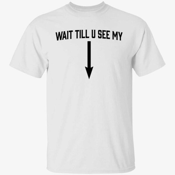 Drake Wait Till U See Me Shirt