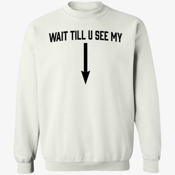 Drake Wait Till U See Me Sweatshirt