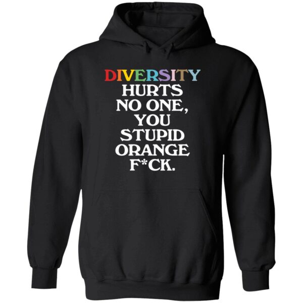 Diversity Hurts No One You Stupid Orange F-ck Hoodie