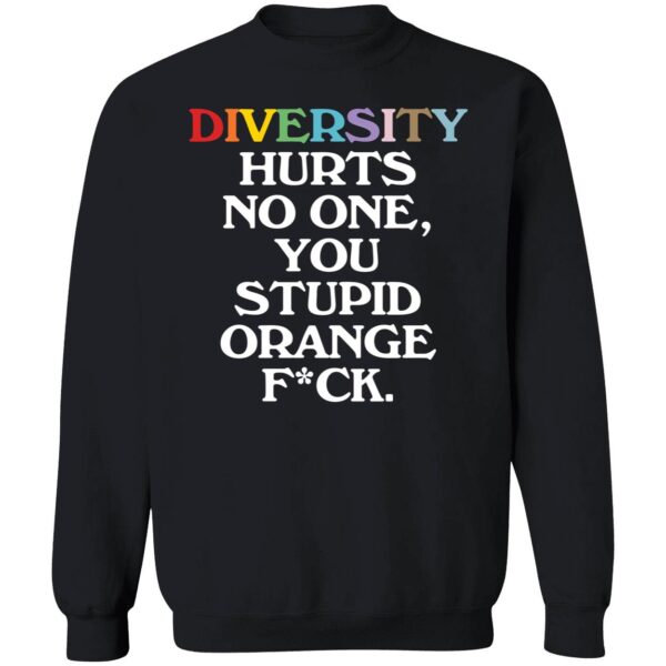Diversity Hurts No One You Stupid Orange F-ck Sweatshirt
