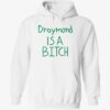 Draymond Is A Bitch Hoodie