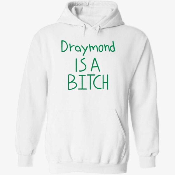 Draymond Is A Bitch Hoodie